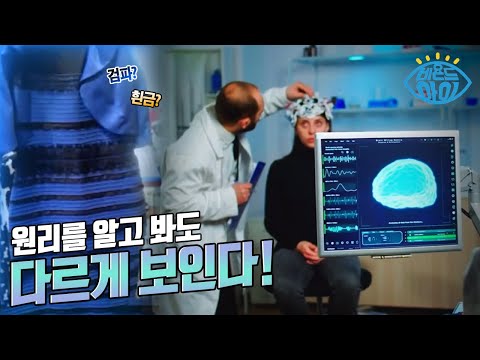 진짜 속고 있는 건 눈이 아니라 뇌? 🧠 [#아이노트]