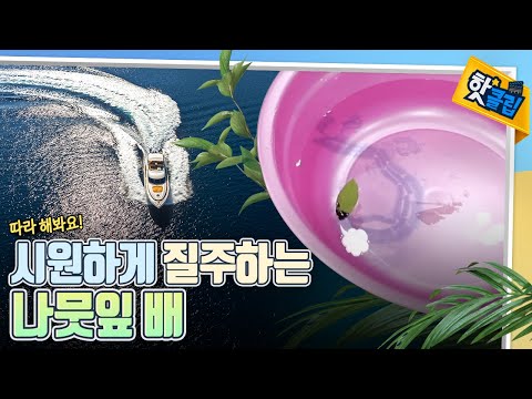 보트처럼 전진하는 나뭇잎 배 실험하기 [#핫클립]