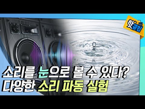 소리를 눈으로 볼 수 있다?👀 다양한 소리 파동 실험! [#핫클립]