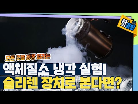 슐리렌 장치로 보는 액체질소의 냉기❄️ [#핫클립]