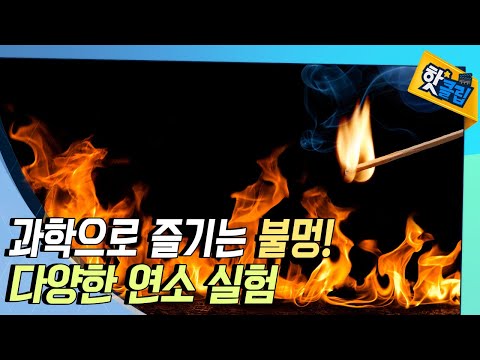 [핫클립] 과학으로 즐기는 불멍!🔥👀 다양한 연소 실험