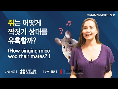 쥐는 어떻게 짝짓기 상대를 유혹할까? | 페임랩 (How singing mice woo their mates)
