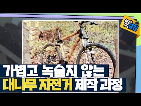 [핫클립] 가볍고 녹슬지 않는 대나무 자전거