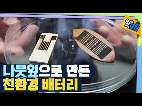 [핫클립] 나뭇잎으로 만든 배터리