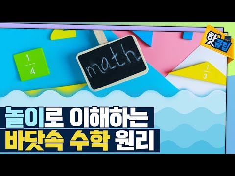 [핫클립] 집에서 찾는 바닷속 수학