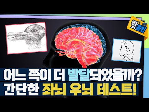 [핫클립] 간단한 좌뇌 우뇌 테스트