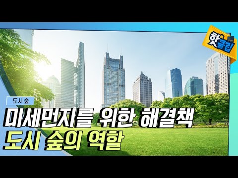 [핫클립] 미세먼지 해결책 – 도시 숲