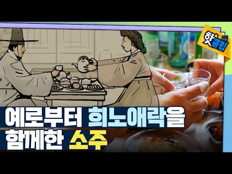 [핫클립] 역사에 등장하는 소주 이야기