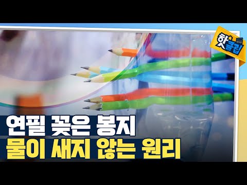 [핫클립] 연필 꽂은 봉지가 안 새는 이유