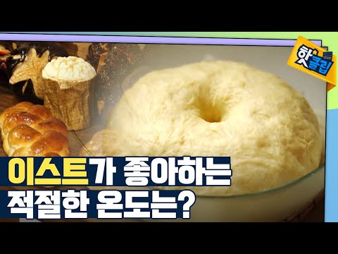 [핫클립] 맛있는 빵의 비밀 – 이스트