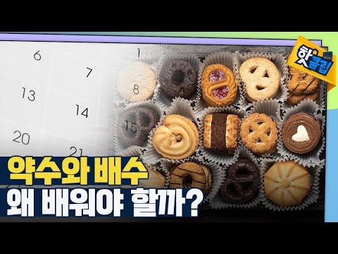 [핫클립] 실생활에 자주 쓰이는 약수와 배수