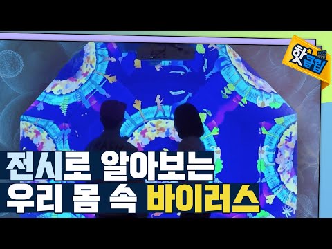 [핫클립] 우리 몸 속의 다양한 바이러스