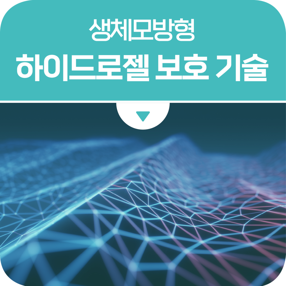 그린 수소 생산용 광전극의 내구성 높일 생체모방형 하이드로젤 보호 기술 개발