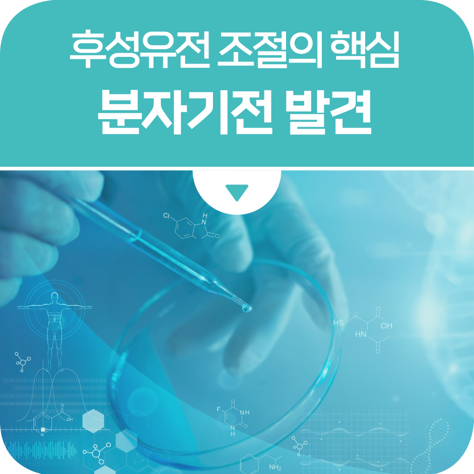 후성유전 조절의 핵심 분자기전 발견
