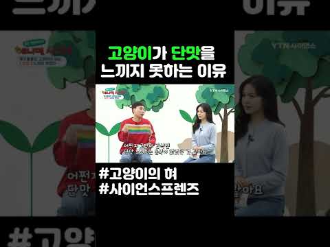 고양이가 단맛을 느끼지 못하는 이유 #shorts