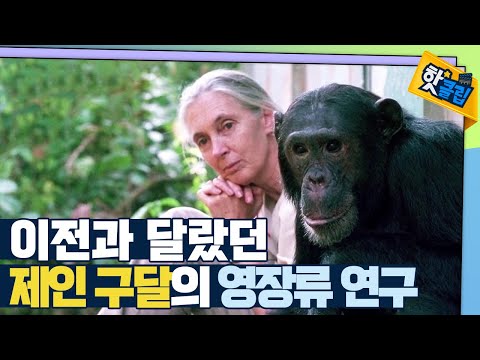 [핫클립] 영장류 학자 제인 구달