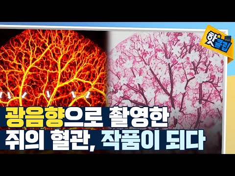 [핫클립] 첨단 과학 기술과 예술의 만남