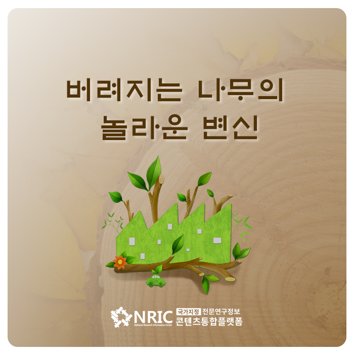버려지는 나무의 놀라운 변신