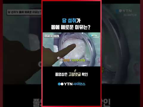 당 섭취가 몸에 해로운 이유는? #shorts