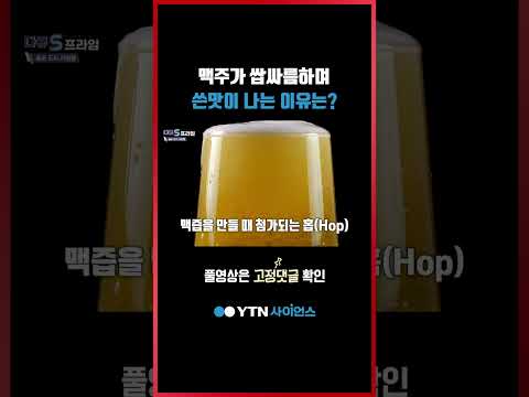 맥주가 쌉싸름하며 쓴맛이 나는 이유는? #shorts