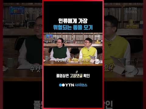 모기가 먹이사슬에 문제를 일으킬까? #shorts
