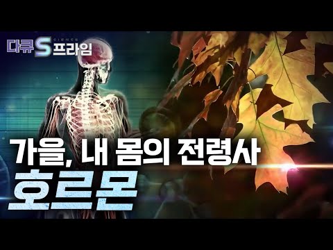 [일부공개][다큐S프라임 오리지널] 가을, 내 몸의 전령사 호르몬
