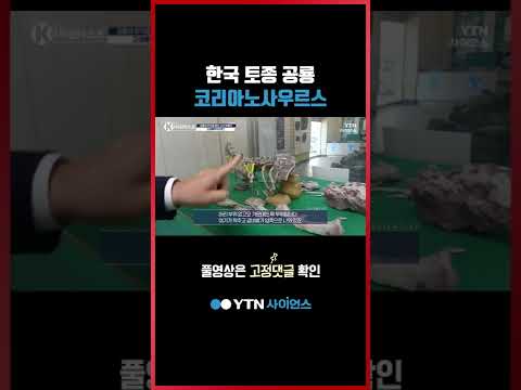 최초의 한국 토종 공룡 ‘코리아노사우르스’ #shorts