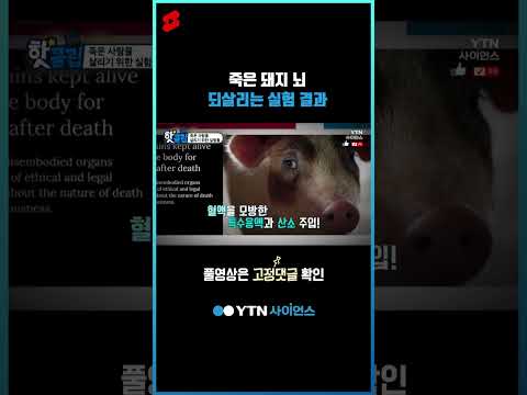죽은 돼지 뇌 되살리는 실험 결과 #shorts