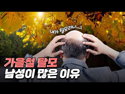 [핫클립] 가을철에 유독 탈모가 잦은 이유