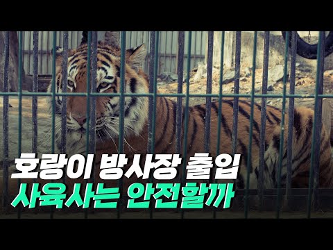[핫클립] 철저한 관리 속 안전한 환경에서 일하는 사육사