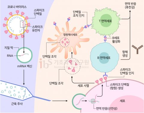 2023년에 주목할 과학 이벤트