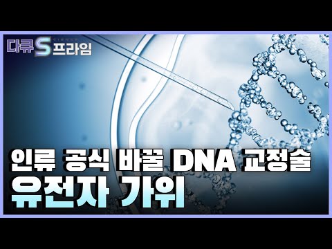 [다큐S프라임] 바이오 르네상스 시대, 현재 주목받고 있는 유전자 가위란 무엇일까? 유전자 가위의 개념과 발전 과정