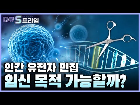 [다큐S프라임] 유전자 편집 식품 GMO…믿고 먹어도 괜찮을까? GMO에 대한 오해와 진실
