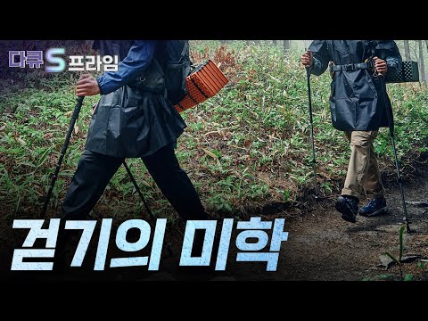 [다큐S프라임 오리지널] 조화로운 움직임의 결정체, 걷기! 걷기의 효과와 효율성은 무엇일까? / YTN 사이언스