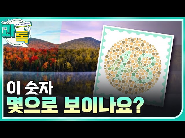 [과톡] 드라마 속 적록색약의 비밀?!