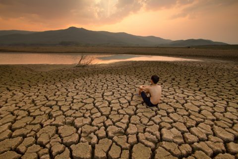 Nature誌, 사회과학자들과 함께 새로운 학술지 창간