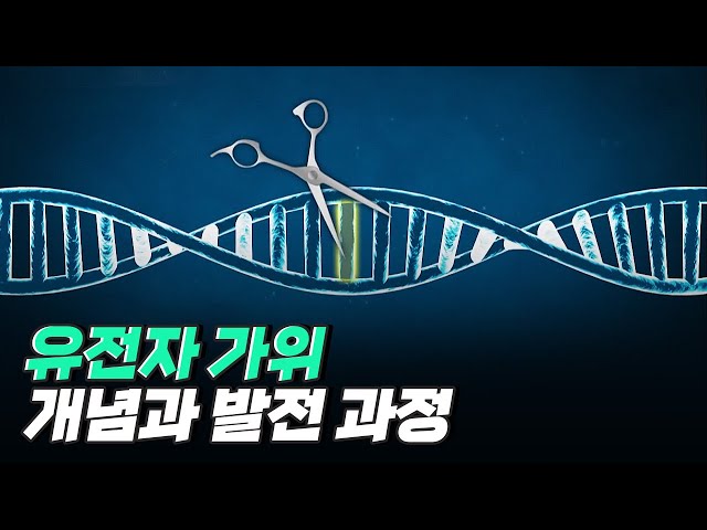 [핫클립] 생명공학계의 화두, 유전자 가위란 무엇일까?