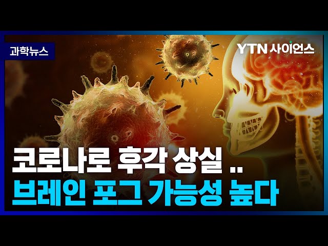[과학뉴스] 코로나 감염으로 후각 상실 있었다면 브레인 포그 가능성 높다