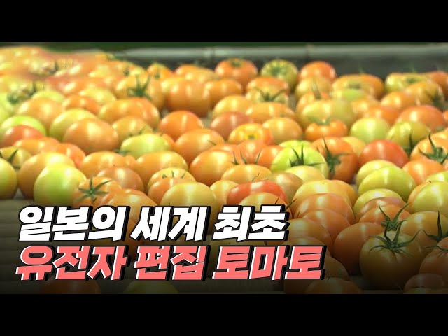 [핫클립] 자연의 유전적 돌연변이를 복사해 제품화하다