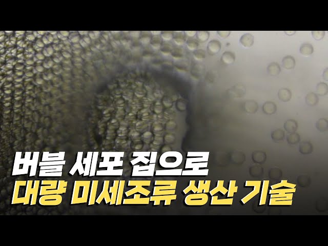 [핫클립] 미세조류 배양에 중요한 미세 유체 시스템
