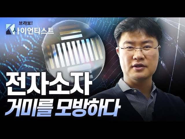 [브라보 K-사이언티스트] 거미에게서 찾은 생체모방기술 – 생체모방공학자 김태일