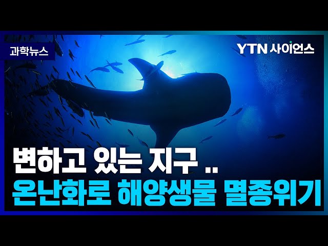[과학뉴스] 지구온난화로 변하고 있는 지구 .. 호주 해양 생태계 위기