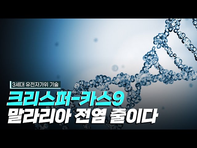[핫클립] 크리스퍼-카스9으로 말라리아 전염을 줄이다
