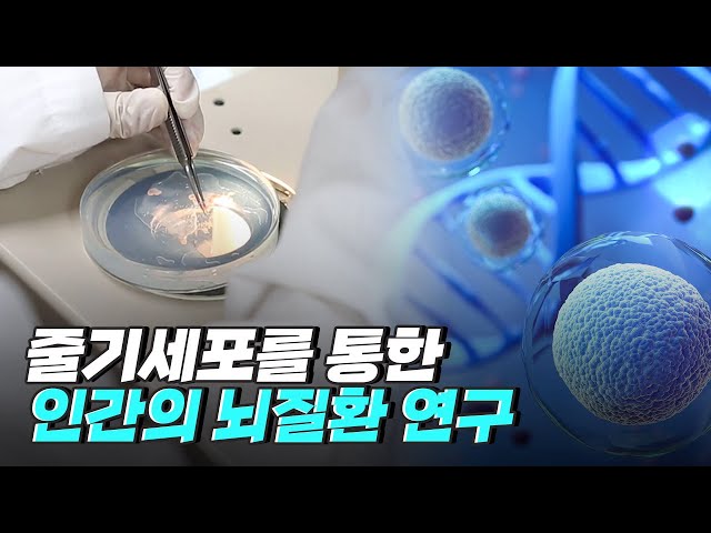 [핫클립] 인체 어떤 기관으로든 성장 가능한 줄기세포