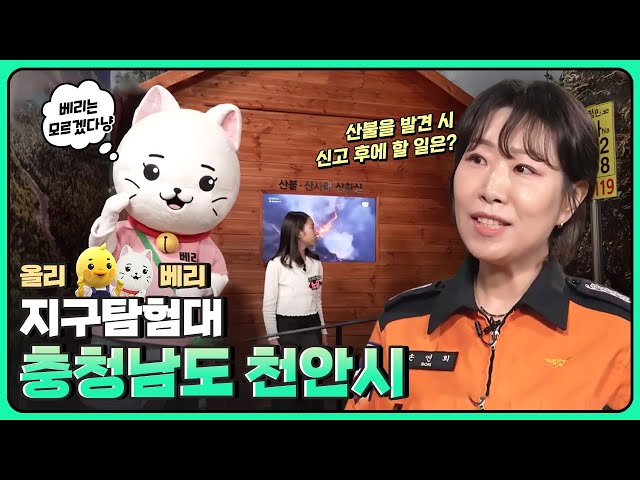 [올리베리 지구탐험대] 충청남도 천안시