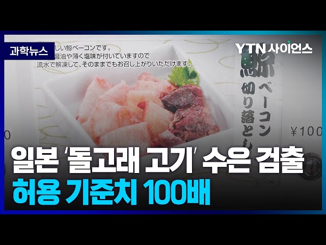 [과학뉴스] 일본 돌고래 고기.. 허용 기준치 100배 가까운 수은 검출