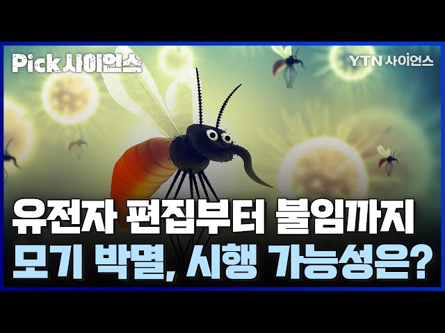 [PICK사이언스] 과학계가 공들인 ‘모기 박멸 기술’ .. 부작용은 없나