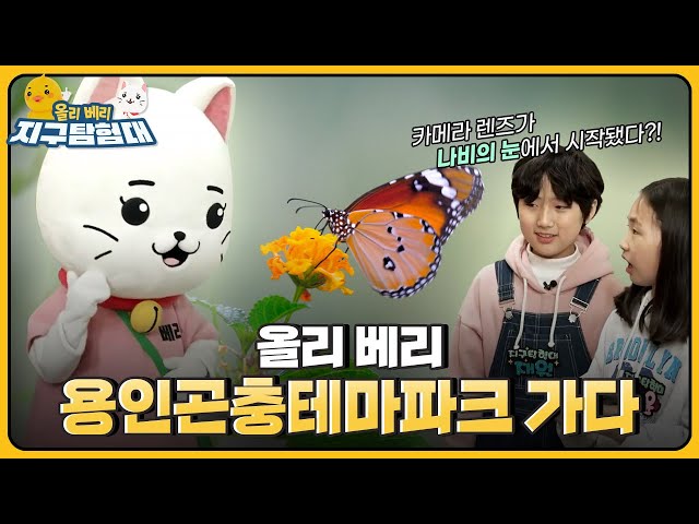 꿀벌이 없어지면 안돼요~ 꿀벌이 우리들에게 소중한 이유는??