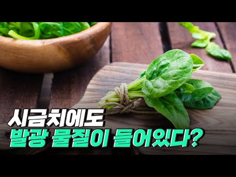 [핫클립] 식품 속 발광 현상을 내는 형광물질