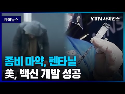 [과학뉴스] 모르핀보다 100배 강한 마약성 진통제 펜타닐.. 안정성과 효과 모두 잡는 백신 개발